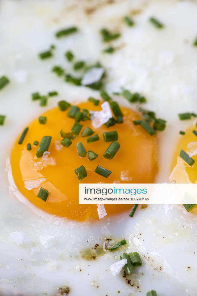 Fried egg jb1-kn6