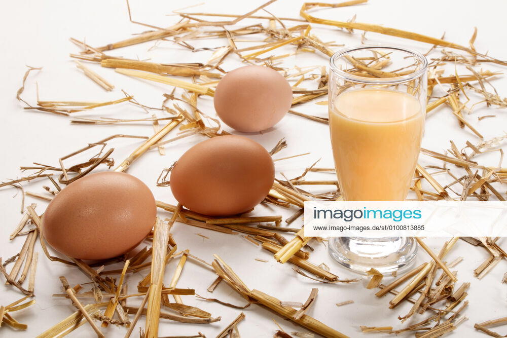 Eggnog k98-jy4