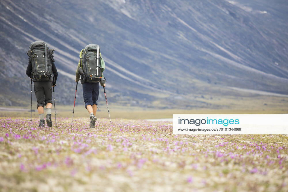Rear view of two backpackers hiking through wildflower meadow. Pangnirtung, NU, Canada CR_JDIP200331-320822-01,model released, Symbolfoto