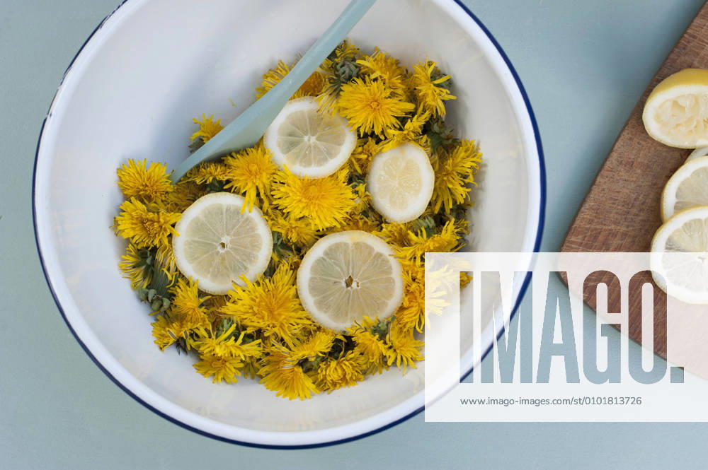 Germany, Bowl of dandelion heads with lemon slices GISF00586