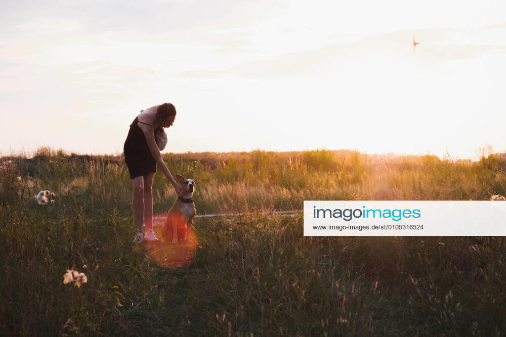 IMAGO Creative: Sommer, Abendspaziergang Young woman stands in the field with dog, faded colors during su CR_AXHBBX201001-515410-01 ,model released, Symbolfoto