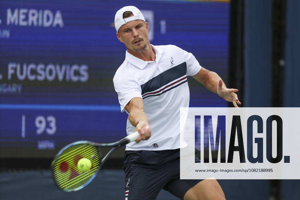US Open tennis tournament - Day 1 Marton Fucsovics of Hungary in action against Daniel Merida of Spain during the Mens Singles round one of the US Open Tennis Championships at the USTA Billie Jean King National Tennis Center in Flushing Meadows, New York, USA, 30 August 2026. The 2026 US Open tournament runs from 23 August through 13 September. FLUSHING MEADOWS NEW YORK United States