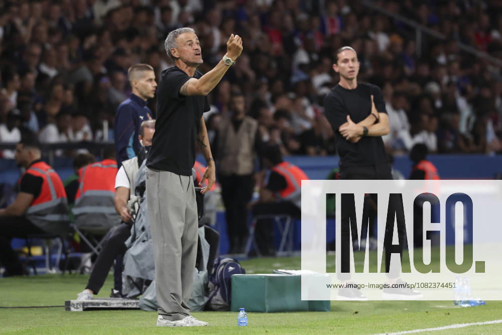 Luis Enrique (Paris Saint Germain)