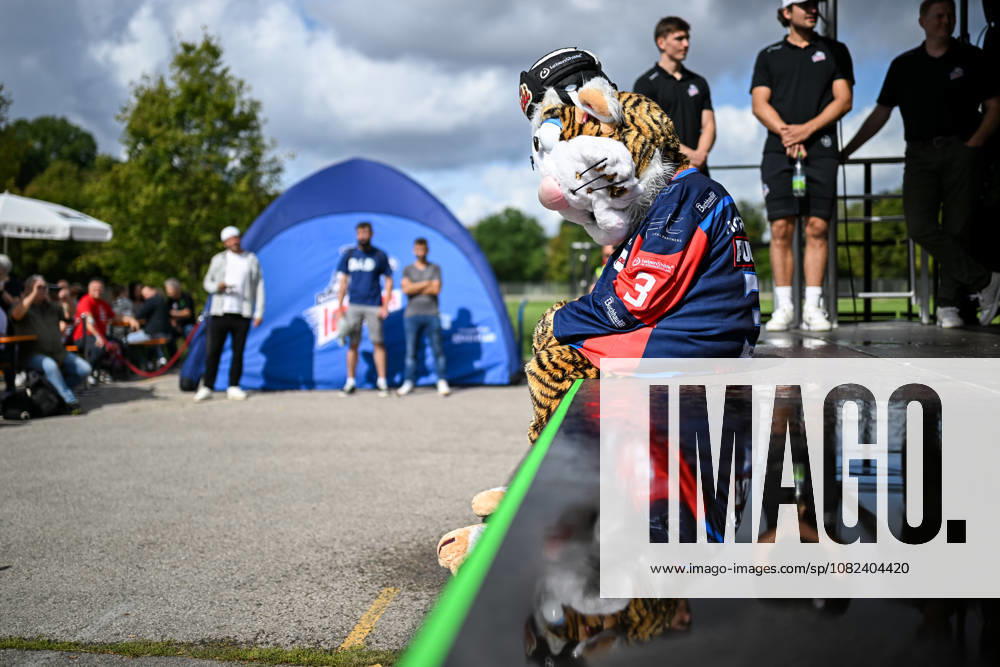 Eishockey - Saison 2026 2027 - Penny DEL - Saisoneröffnungsfeier Nürnberg Ice Tigers Icetigers - ERC Ingolstadt - ThHa - - Pucki (Maskottchen, Nürnberg Ice Tigers, NIT ) nachdem er nass wurde