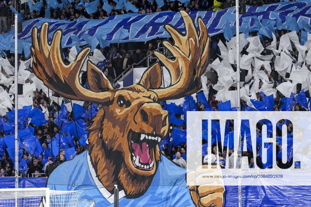 Die Fankurve der TSG 1899 Hoffenheim zeigt eine Choreo, Choreographie der Zuschauer, Fans, Ultras Publikum, Zuschauer, Stimmung, Atmosphäre, Stadion, 22.10.2026, Sinsheim (Deutschland), Fussball, UEFA Europa League, TSG 1899 Hoffenheim - Olympique Lyon, DFB DFL REGULATIONS PROHIBIT ANY USE OF PHOTOGRAPHS AS IMAGE SEQUENCES AND OR QUASI-VIDEO.