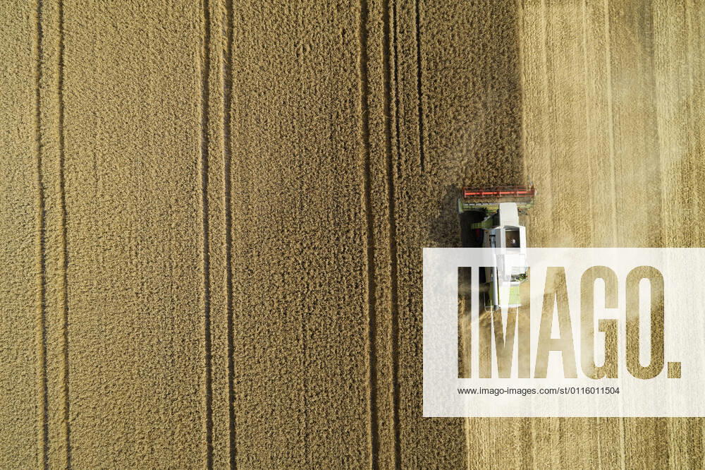 IMAGO Creative: Ende des Sommers Drone view of combine harvester collecting grain in summer RUEF03249