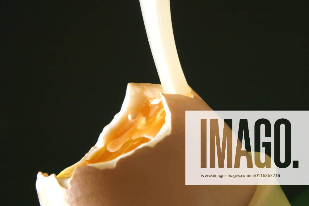 Soft boiled breakfast egg with an egg spoon in an egg cup BLWS641030
