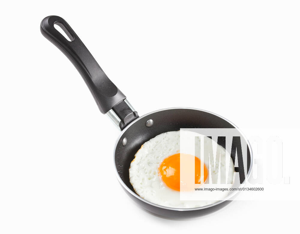 Fried egg,fried eggs 1un-gtf
