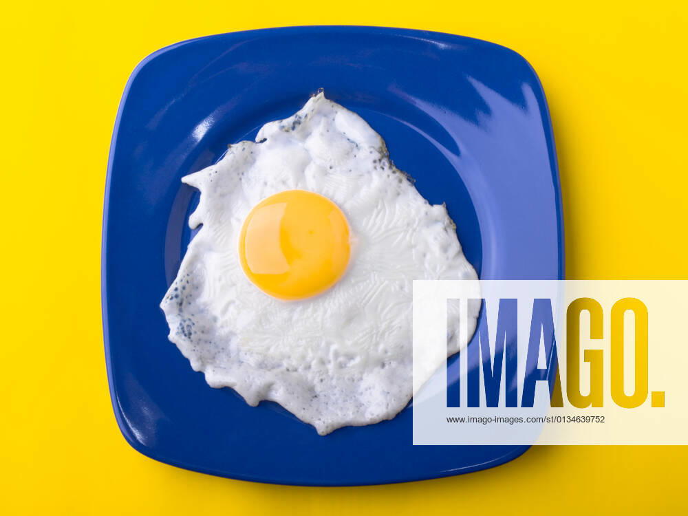 Fried egg,fried eggs l7d-fpd