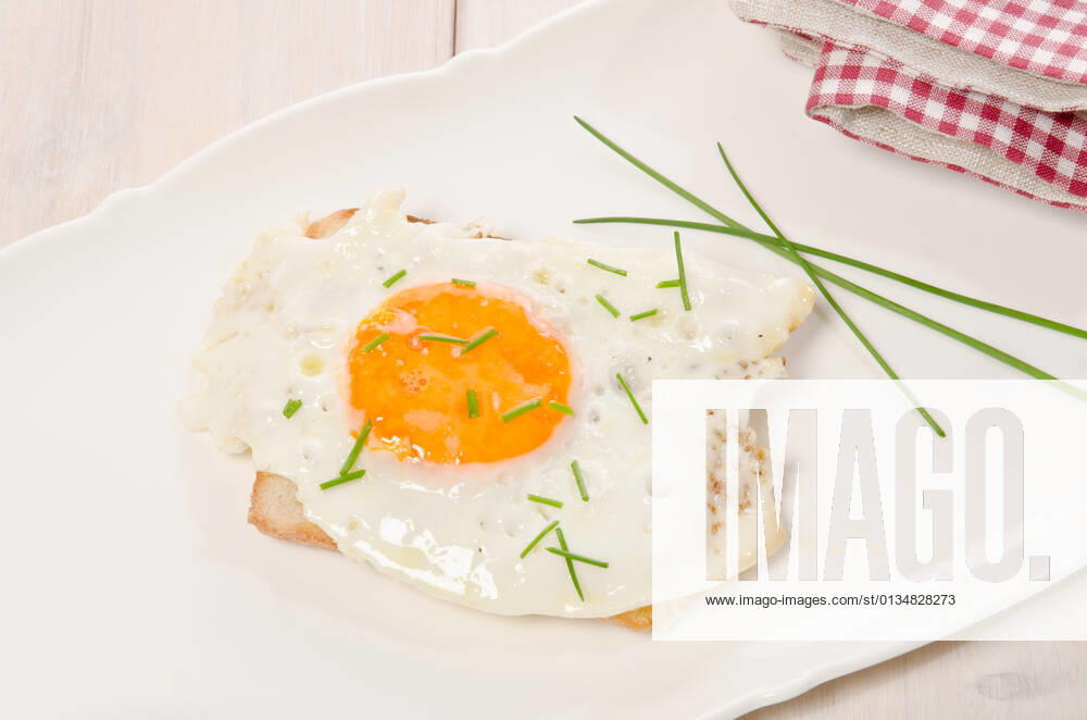 Fried egg,fried eggs hhi-fyh