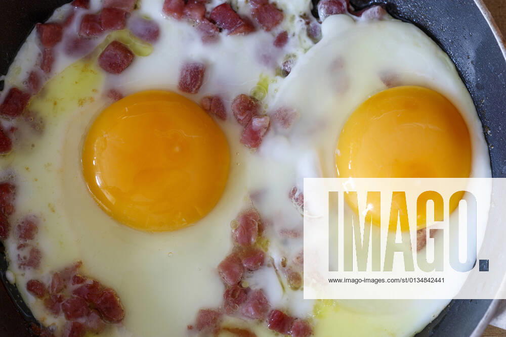 Fried egg,fried eggs jb1-n31