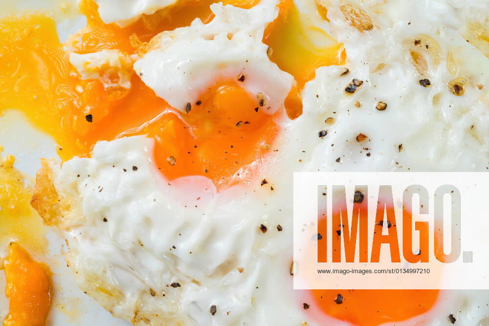 Fried egg,fried eggs mpd-kk9