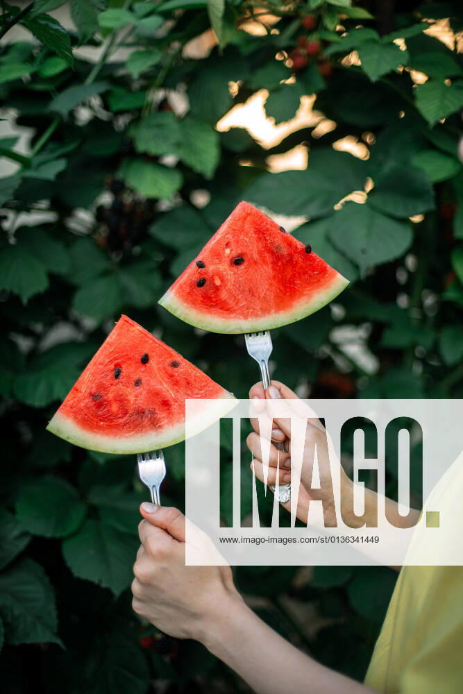 IMAGO Creative: Ende des Sommers a woman with a watermelon on the garden Texas City, Texas, United States CR_INCH21090258-823130-01 ,model released, Symbolfoto