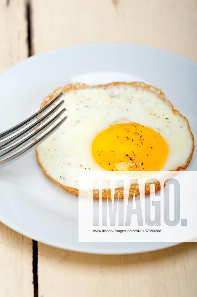 Fried egg,fried eggs s0j-gdw