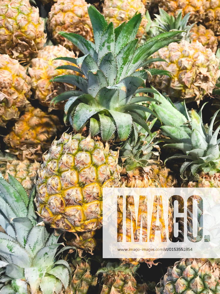 Closed up pile of pineapple in the convenient store., model released, , property released, , 32728842.jpg, Closed up, pile, pineapple, Fruit, Fresh, No People, Raw Food, Ripe, Nature, Juicy, Organic, tropical fruit, Yellow, green, whole