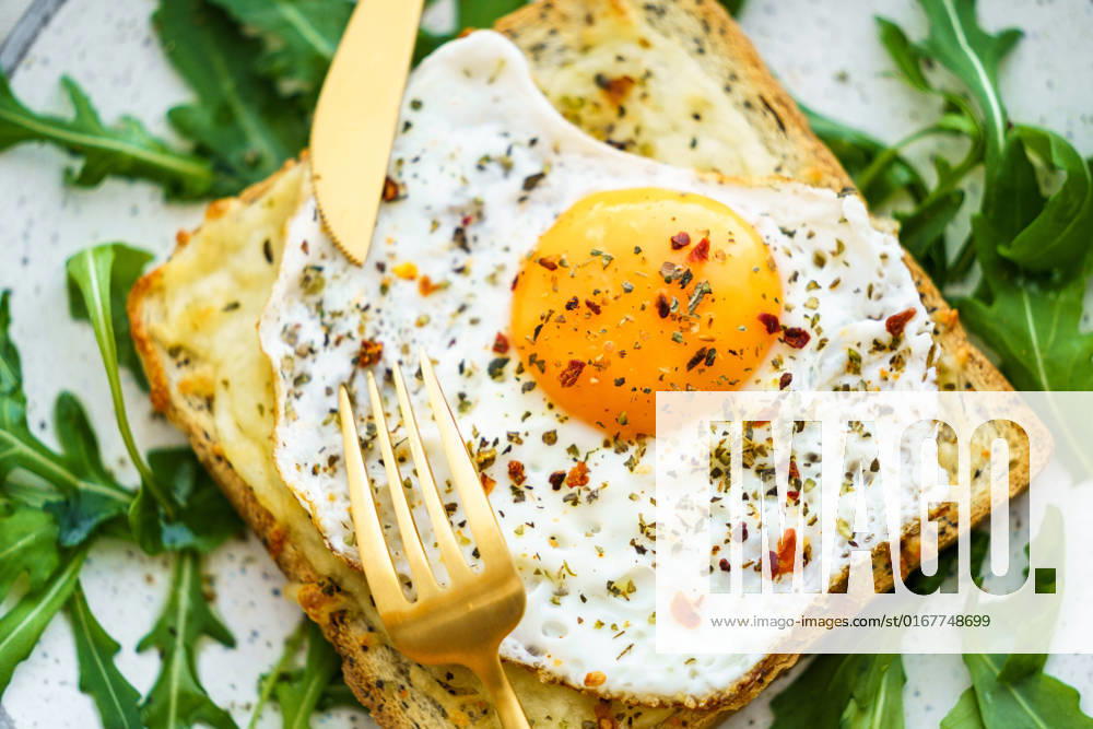 Fried egg,toast,fried eggs,toasts 539-gft