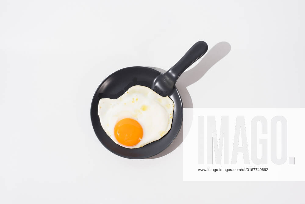 Fried egg,fried eggs 539-gmw