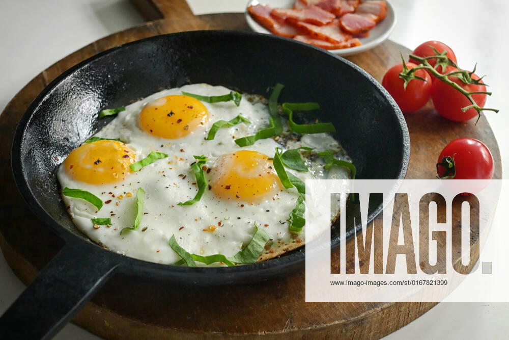 Fried egg,fried eggs pr8-m4y