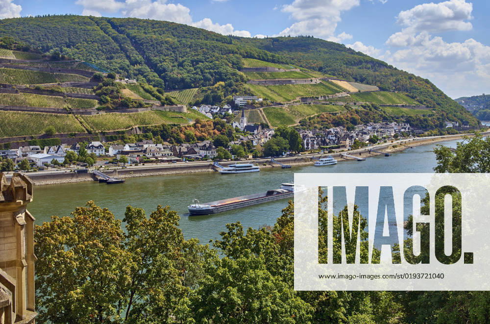 View from the Burg Rheinstein at the Rhine Valley at Assmannshausen, Germany, Rhineland Palatinate, Assmannshausen Vista from Castel Rheinstein onto The Rhine Valley Near Assmannshausen, Germany, Rhineland palatine, Assmannshausen BLWS675917