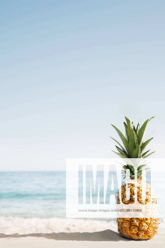 Beach background with pineapple copyspace. High quality beautiful photo concept beach background with pineapple copyspace. Resolution and high quality beautiful photo