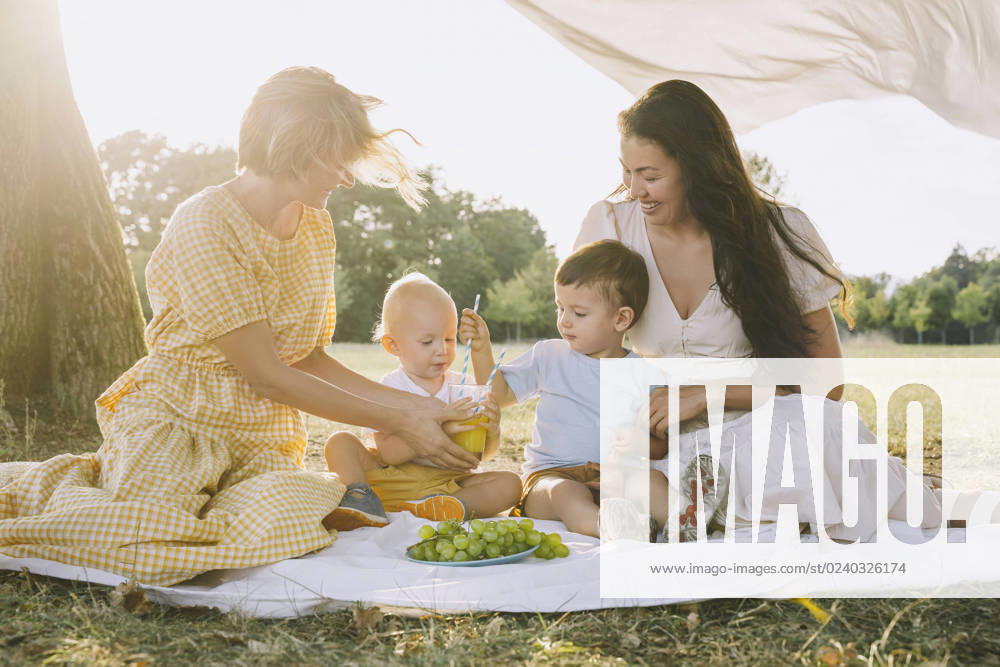 Happy women sitting with sons at picnic holding glass of juice model released, Symbolfoto, NDEF00416