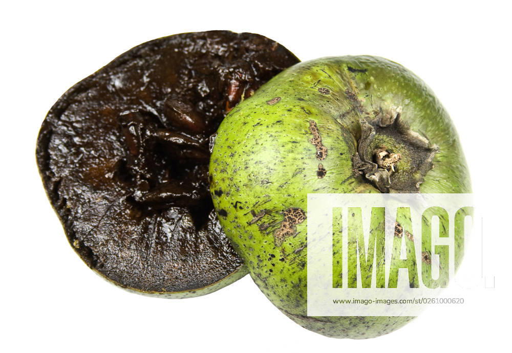 Black sapote or chocolate pudding fruit also called kaki, mabolo or Japanese persimmon
