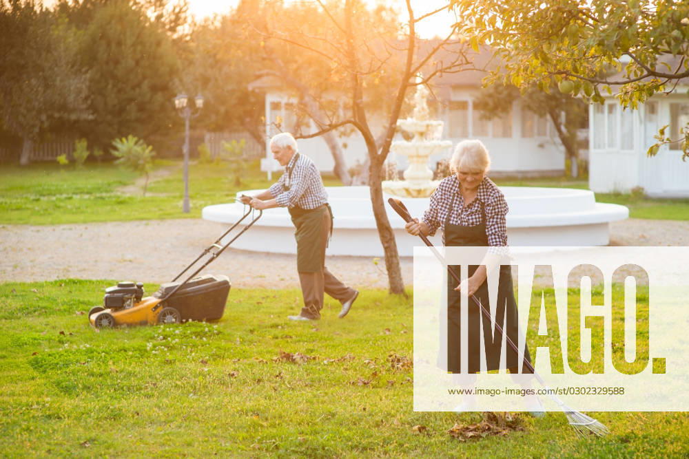 Couple of old gardeners working. Couple of old gardeners working. People in sunny garden. Buy gardening tools and equipment. ,model released, Symbolfoto