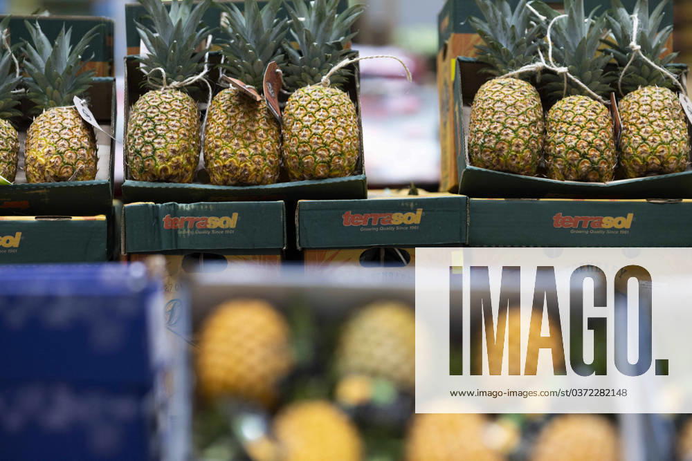 Rungis International Market - Southern Paris This photograph shows pineapple at the fruits and vegetables of the Rungis International Market, in Rungis southern suburb of Paris on December 6, 2023. The Rungis International Market (Marche International de Rungis) is the principal market of Paris, mainly for food and horticultural products, located in the commune of Rungis, in the southern suburbs. It is the second largest wholesale food market in the world after Central de Abasto, located in Mexico city. From its origins in the 10th century to the mid-20th century, the central market of Paris was located in the centre of the city, in a 10-hectare area named Les Halles. That became too small to accommodate all of the business demand, and, in