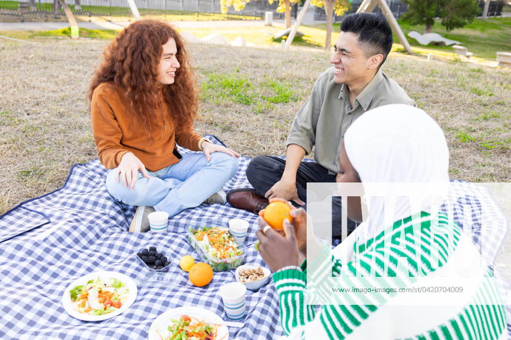 A diverse group of friends gathers for a picnic on a checkered blanket in the park, sharing smiles, food, and conversation. Model Released DavidMunoz_ID19905_590100_013