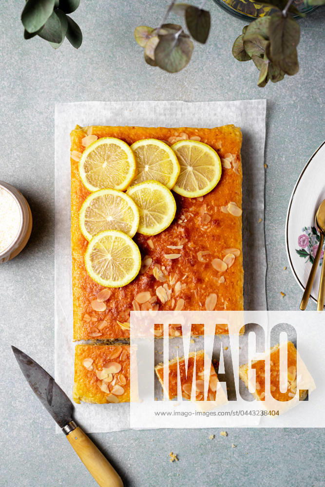 Zitronenscheibe,zitronenkuchen,zitronenscheiben,kuchen,zitronen-kuchen ** lemon slice,lemon cake,lemon slices,lemon cakes 539-ngp