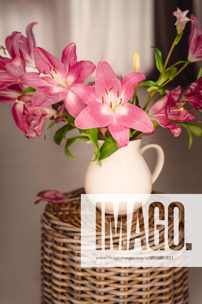 A white ceramic jug filled with vibrant pink lilies positioned on a woven wicker stand, against a soft backdrop. Model Released IsabelAlcala_ID21891_641463_006