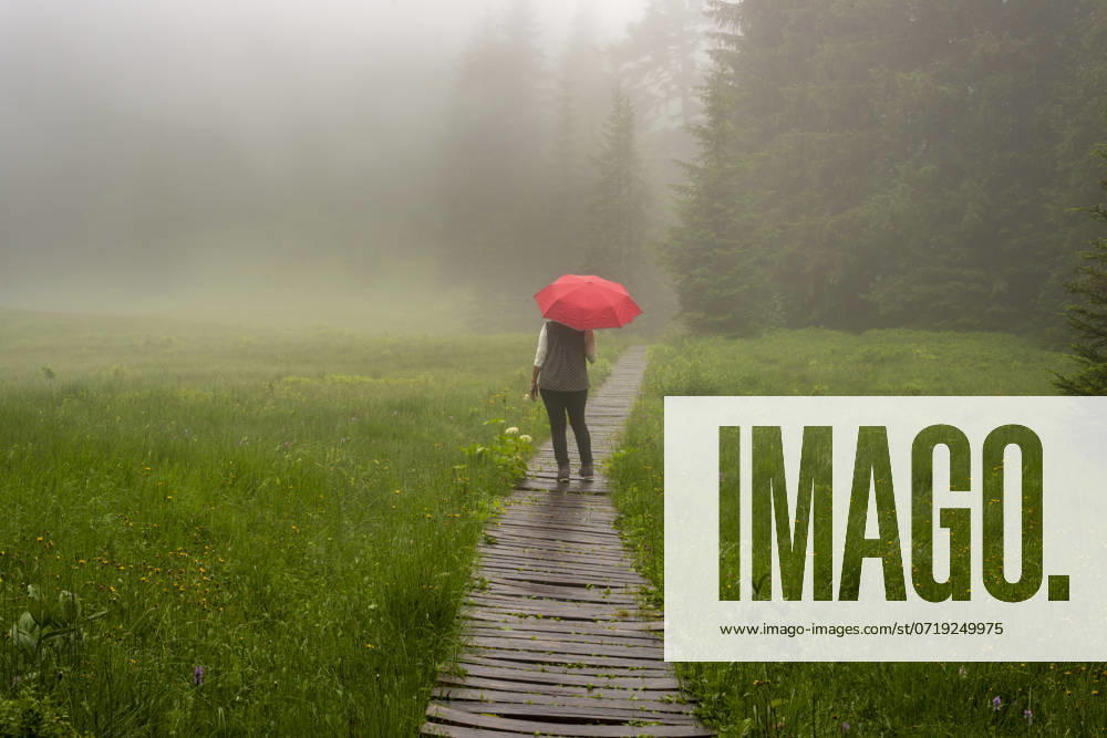 Frau 60+ mit Regenschirm im Hühnermoos an einem wolkenverhangenem Tag mit Nebel, ein Hochmoor am Söllereck bei Oberstdorf, Allgäuer Alpen, Allgäu, Bayern, Deutschland, Europa