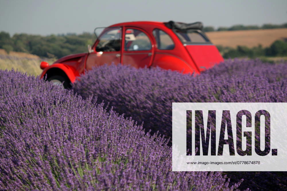 2 CV, Plateau Valensole, Frankreich 2 CV, Plateau Valensole, Frankreich - 2 CV, Plateau Valensole, France