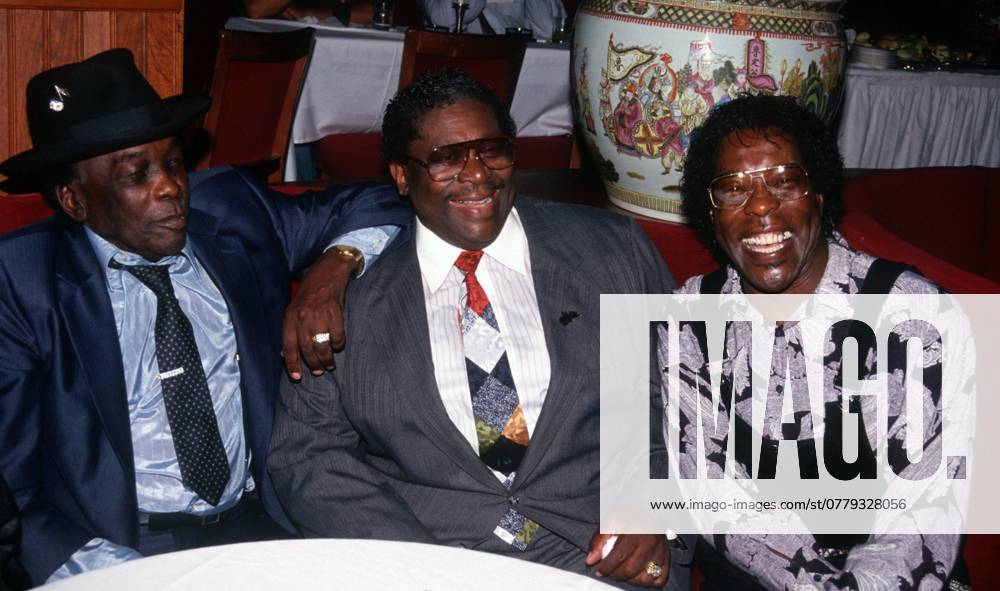 John Lee Hooker, BB King, Buddy Guy, 1995. ph: John Barrett PHOTOlink Courtesy Everett Collection (John Lee Hooker BB King Buddy Guy6077)ASCA041 F4102 PUBLICATIONXNOTxINxCANxCHNxFRAxITAxJPNxNORxPOLxRUSxESPxUKxUSA