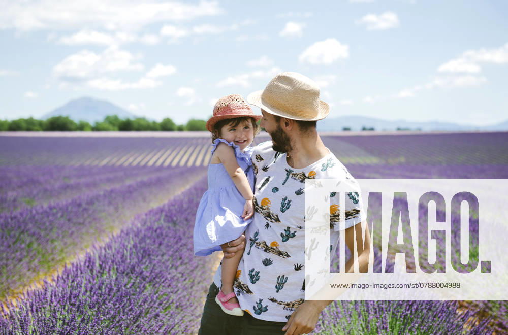 France, Provence, Valensole plateau, happy father and daughter in lavender fields in the summer model released, Symbolfoto, GEMF02126