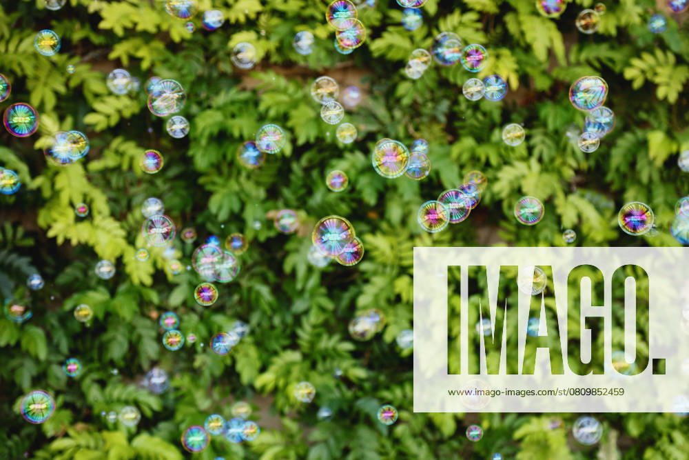 IMAGO Creative, Lifestyle, Feste im Garten #2 Colorful soap bubbles floating in front of leafy green background Indian Wells, California, United States R_XPKR250405-1699159-01