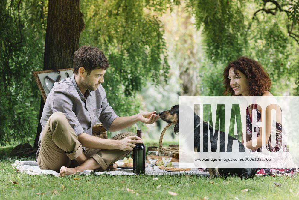 Couple with dog having a picnic in a park model released Symbolfoto property released ALBF00157