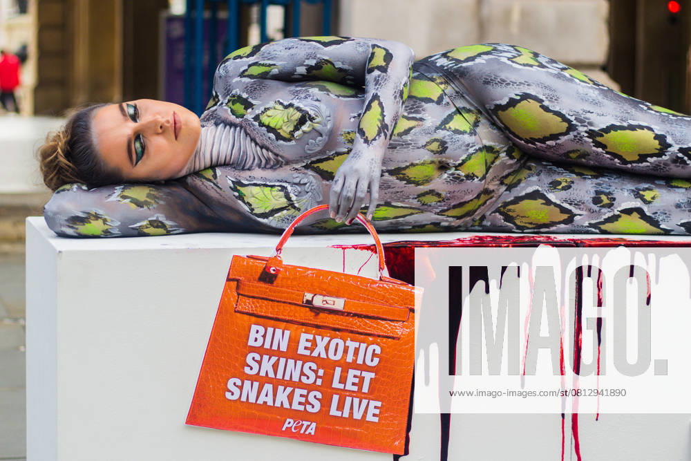 PETA targets exotic skins at London Fashion Week London September 17, 2021 Bodypainted as a snake on a bloody surface, The Only Way Is Essex star Chloe Ross helped PETA cause a stir on the first day of London Fashion Week. Ross held a handbag-shaped sign with the message Bin Snakeskin: Let Snakes Live. The action aims to urge designers and fashionistas to ditch cruelly produced items made from the skins of exotic animals. September 17, 2021 at Somerset House, Strand, London, England, UK.