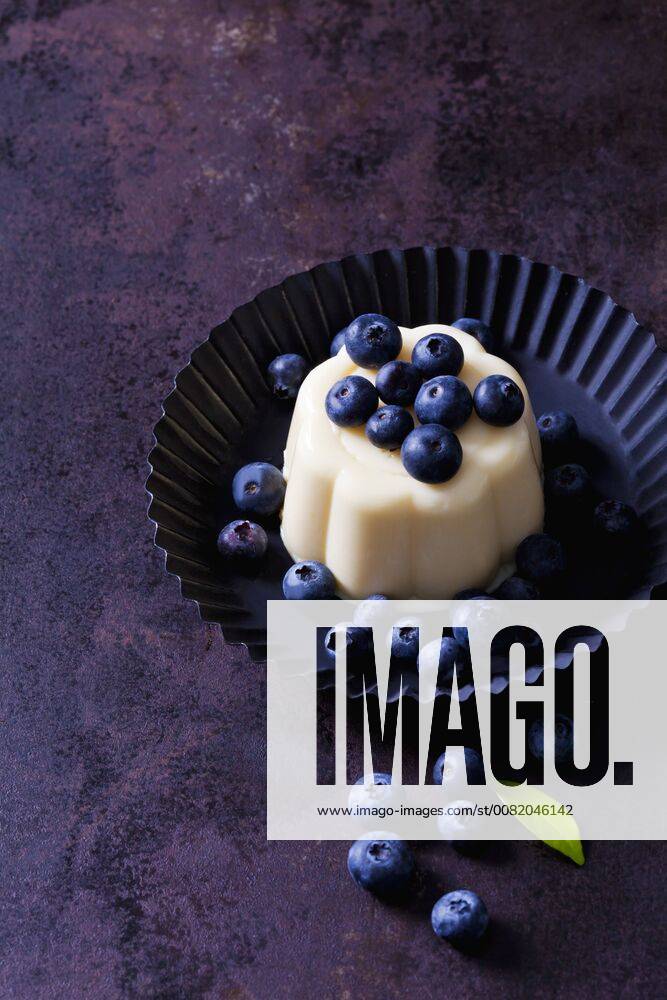 Custard with blueberries in cake tin CSF28733