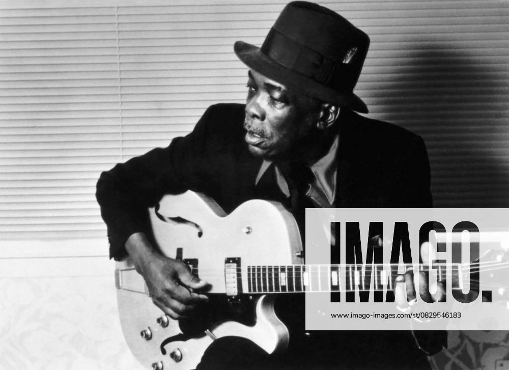 John Lee Hooker, music, entertainment, historical, man, March 21, 2006 - John Lee Hooker, American Blues singer, Songwriter and Guitarist, Portrait, circa early 1990 s