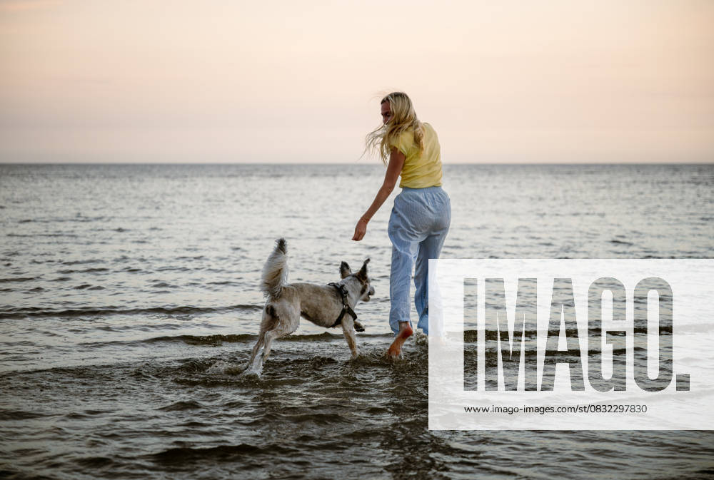 Woman and dog playing together on Baltic sea coast, Latvia B?rzciems, Tukums Municipality, Latvia R_PJJZ2509018A-1817181-01 ,model released, Symbolfoto