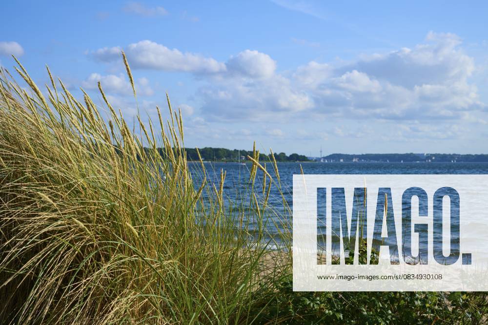 Stranddünen überblicken das Meer unter einem teils bewölkten Himmel, Heikendorf, Kreis Plön, Kieler Förde, Schleswig-Holstein, Deutschland Beach dunes overlooking the sea under a partly cloudy sky, Heikendorf, Plön district, Kiel Fjord, Schleswig-Holstein, Germany