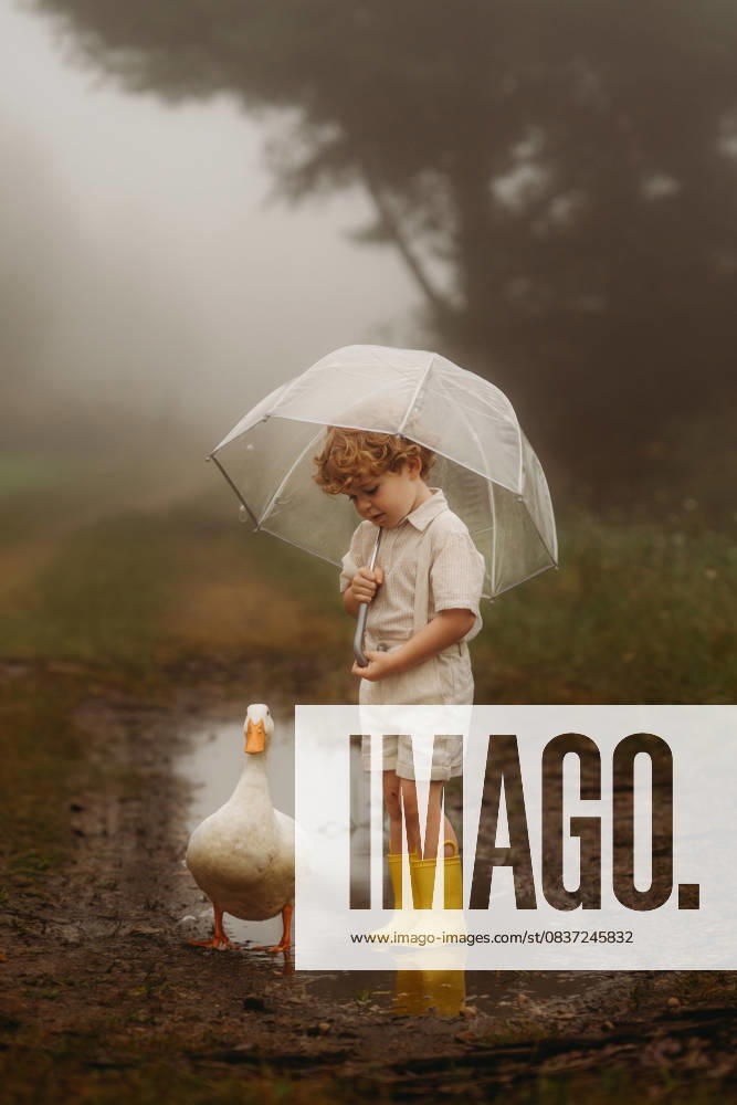 Little boy in the rain hodling a umbrella witha white duck Beaver, West Virginia, United States CR_ZVBJ2510144F-1840025-01 ,model released, Symbolfoto