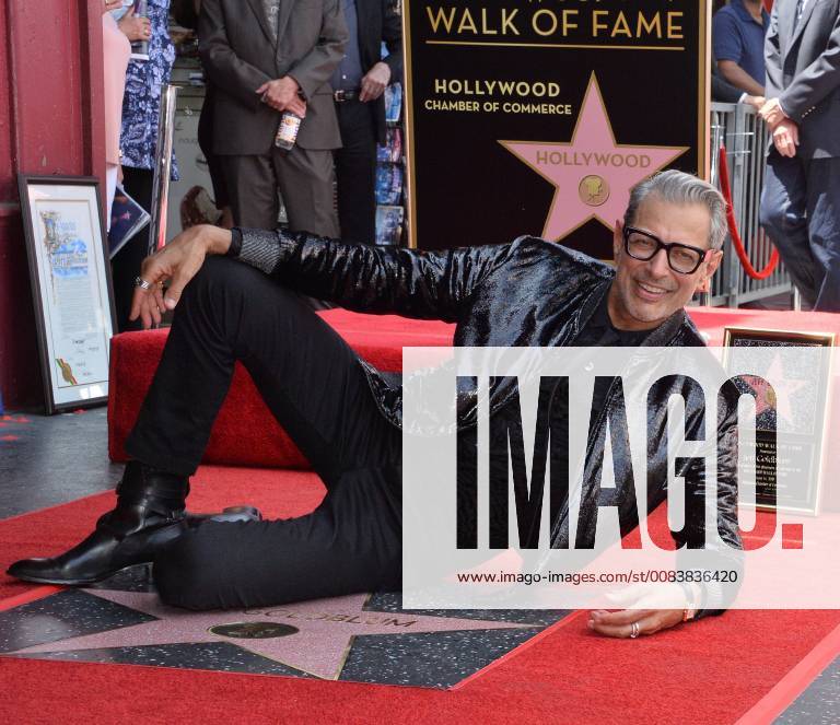 Actor Jeff Goldblum poses for photographers during an unveiling ceremony honoring him with the 2,638th star on the Hollywood Walk of Fame in Los Angeles on June 14, 2018. LAP2018061413 JIMxRUYMEN