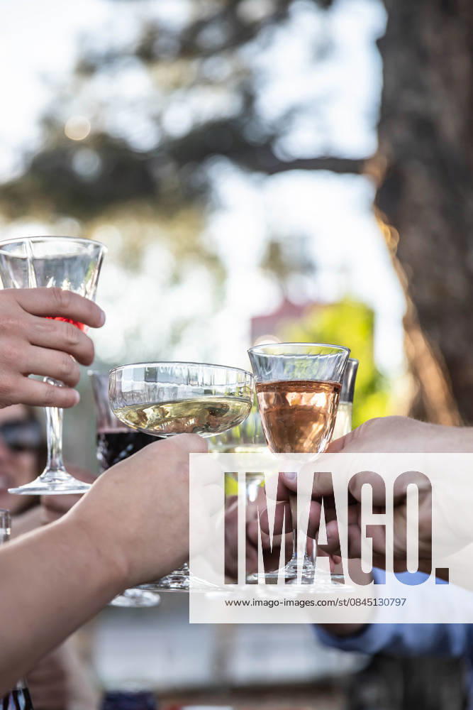 IMAGO Creative, Lifestyle, Feste im Garten #2 Friends raising glasses toasting at outdoor celebration dinner Fort Collins, Colorado, United States R_YVOQ260106-1920772-01 ,model released, Symbolfoto