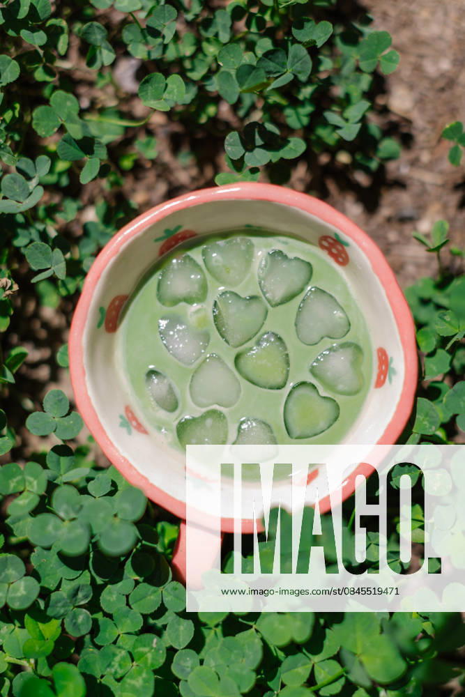 Iced matcha latte with heart-shaped ice cubes Boise, Idaho, United States R_AUAU251229-1920003-01
