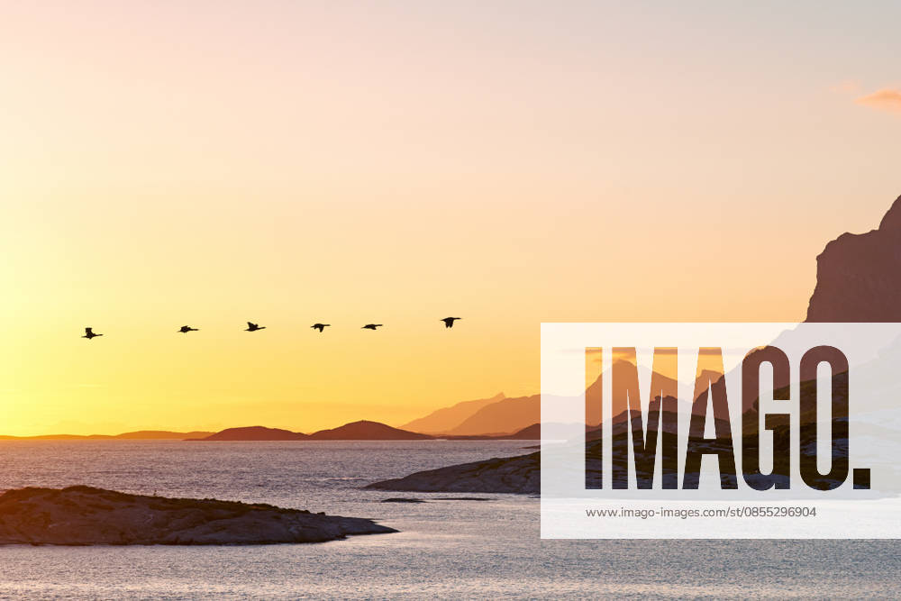 Beautiful landscape of a mountain near the sea during sunset with copy space. Scenic view of the ocean with golden yellow sunlight at sunrise and copyspace. Peaceful coastal bay with birds flying. (License=RF)