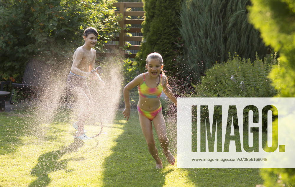 Glückliche Geschwister, die im Garten mit dem Gartenschlauch spielen und sich im sonnigen Hinterhof am Wasserspritzen erfreuen. Sommerzeit. Happy children brother and sister playing in the garden hose and having fun with spray of water in sunny backyard. Summer time. (License=RF) ,model released, Symbolfoto
