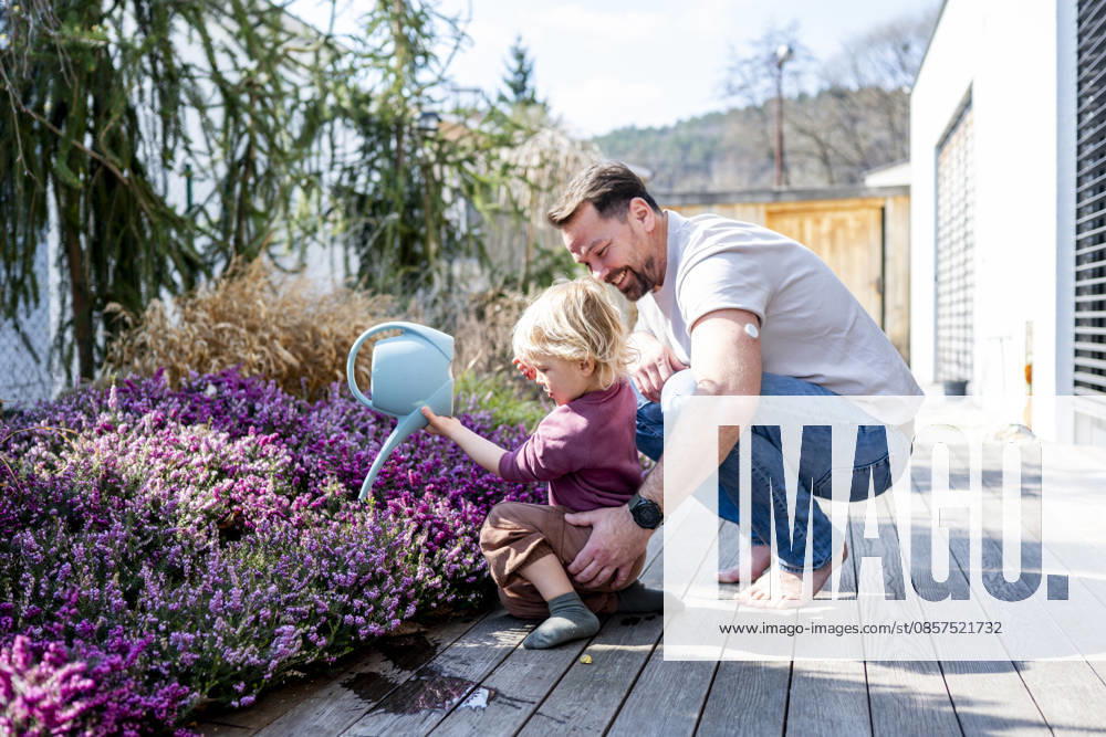 Father and son watering plants together in garden. Father and son watering plants together in garden at home. model released
