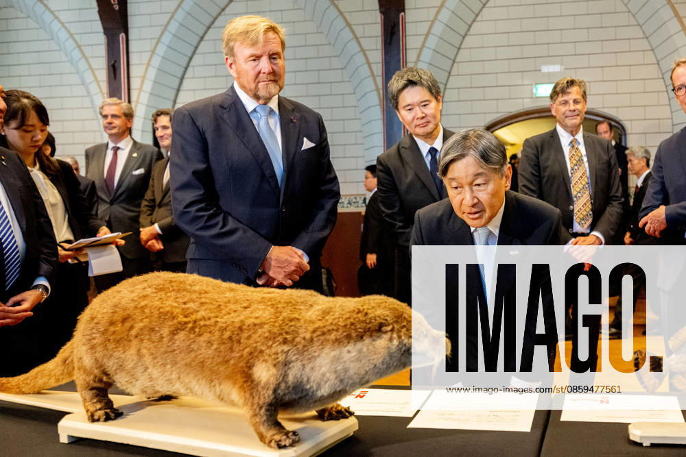 Statevisit King Willem-Alexander with Emperor Naruhito of Japan visited the temporary exhibition of objects from various Leiden Japan collections and the ˜Sweat Room and the botanical garden at the university of Leiden on the 2nd day of the 3 day statevisit to the Netherlands Â